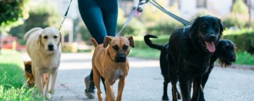 Service : service a personne Service : service a personne