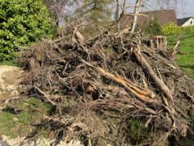 Service : multi services Service : multi services