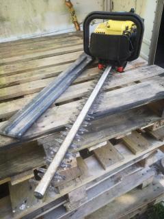 Location : taille haie Location : taille haie