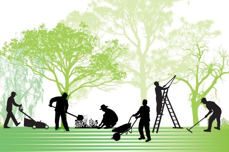 Service entretien jardin 28 entre particuliers