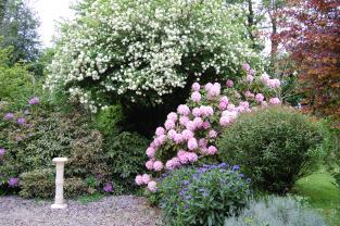 Service : paysagiste Service : paysagiste