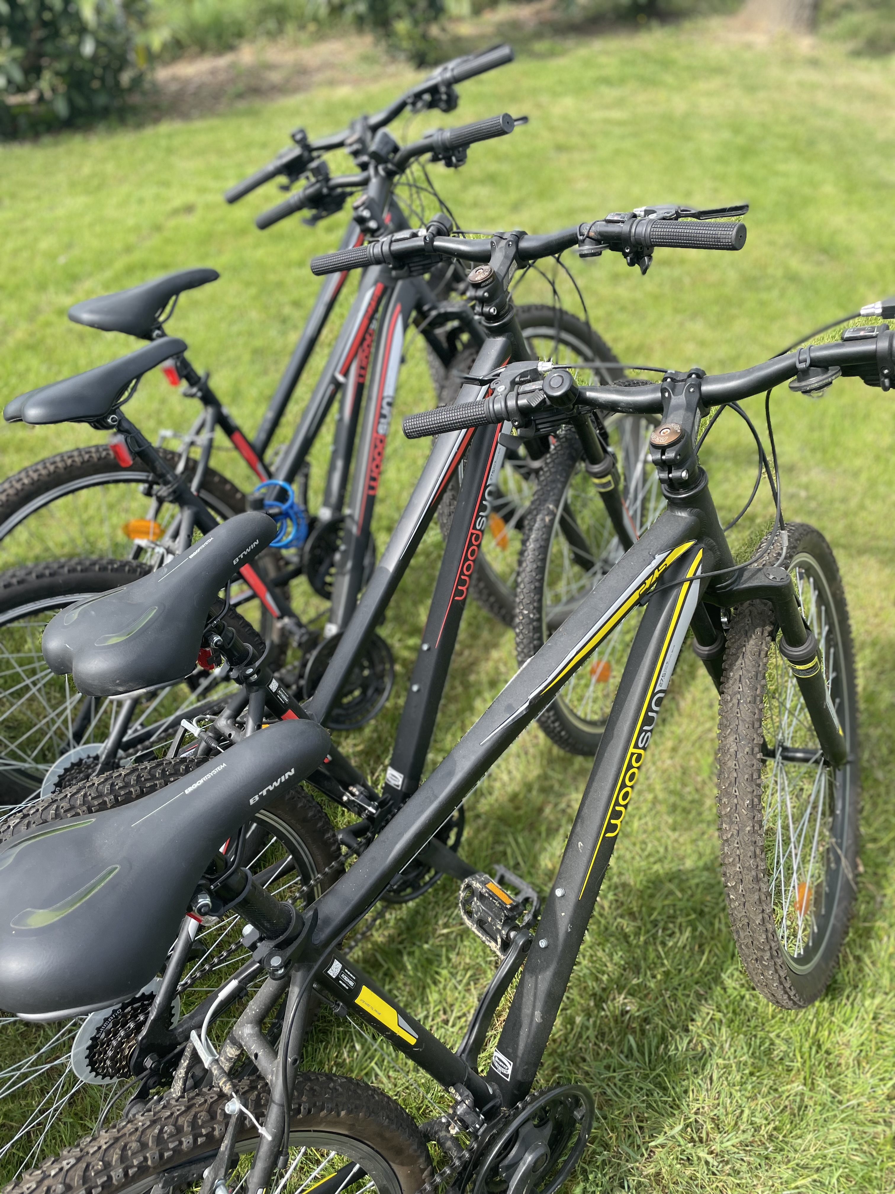 Rental Velos between individuals (49)