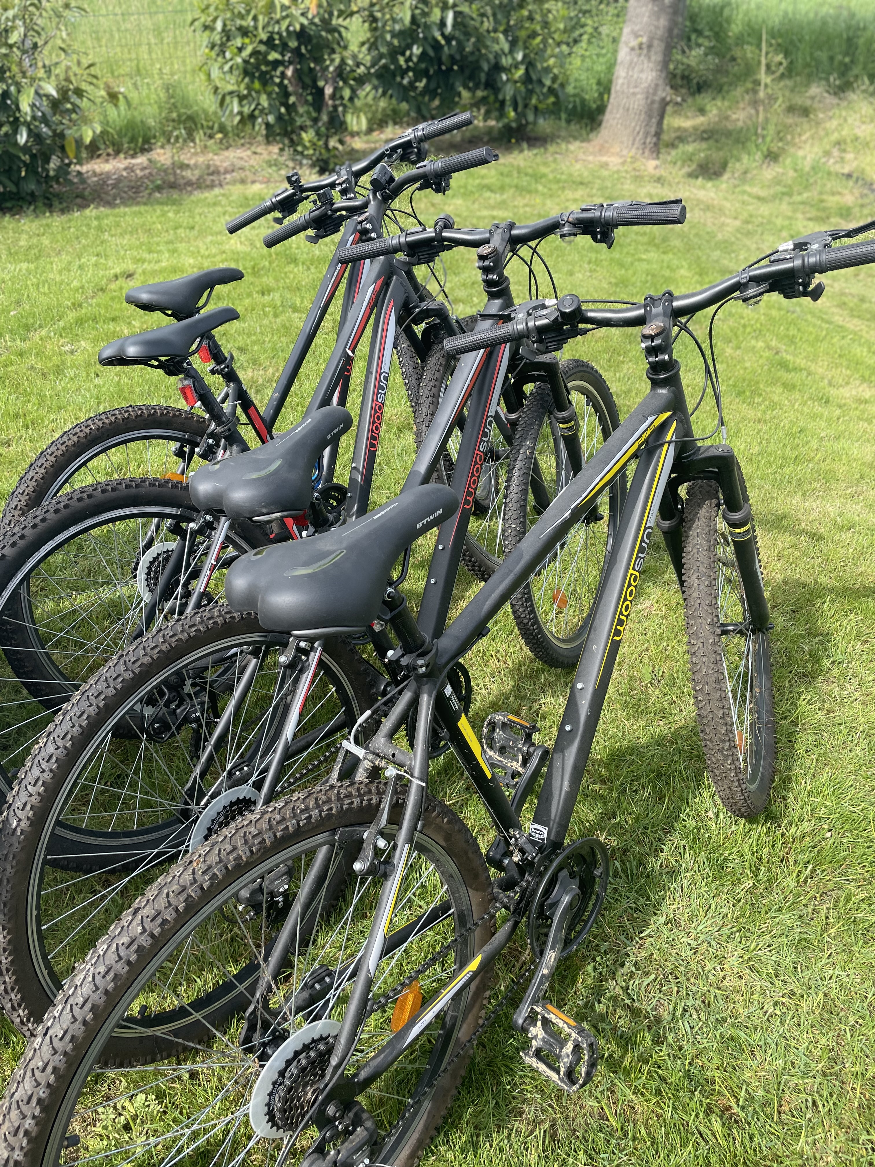 Rental Velos between individuals (49)