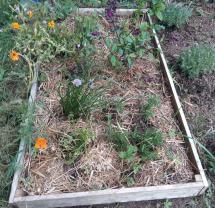 Service autres cours particuliers entre particuliers