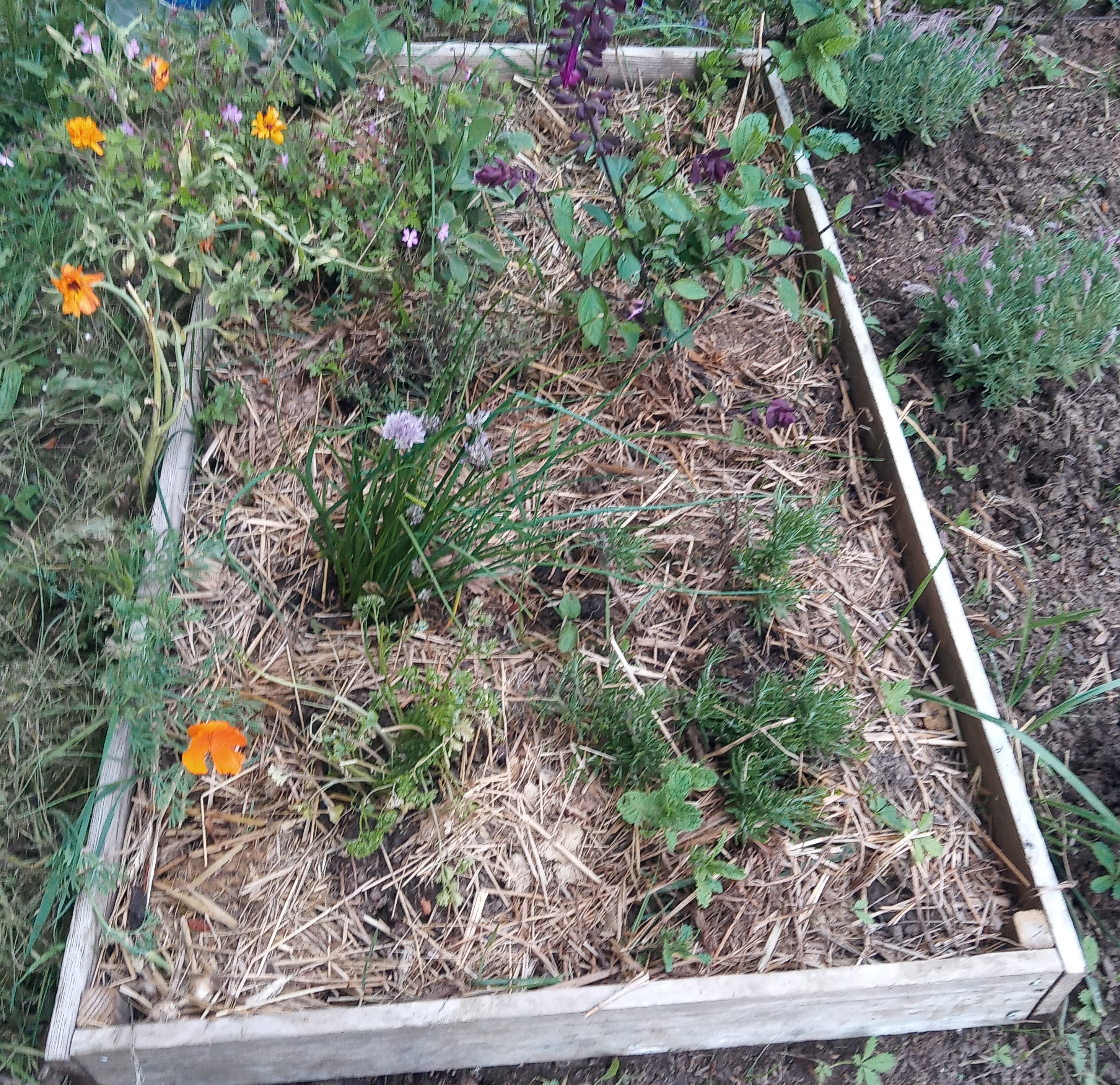 Service autres cours particuliers 74 entre particuliers