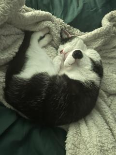 Service : chat Service : chat