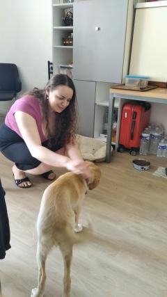 Demander ce catsitter