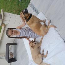 Service : chien Service : chien