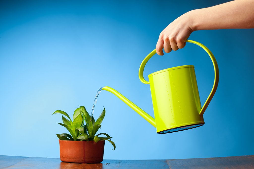 Service gardiennage 21 entre particuliers