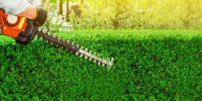 Service : paysagiste Service : paysagiste