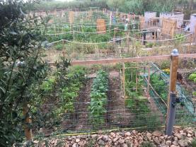 Location jardin potager entre particuliers