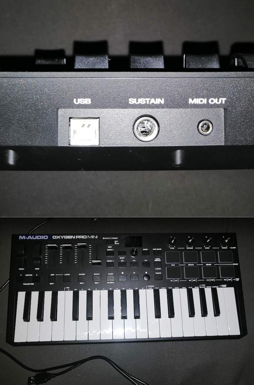 Location instrument musique 31 entre particuliers