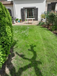 Service : entretien jardin Service : entretien jardin