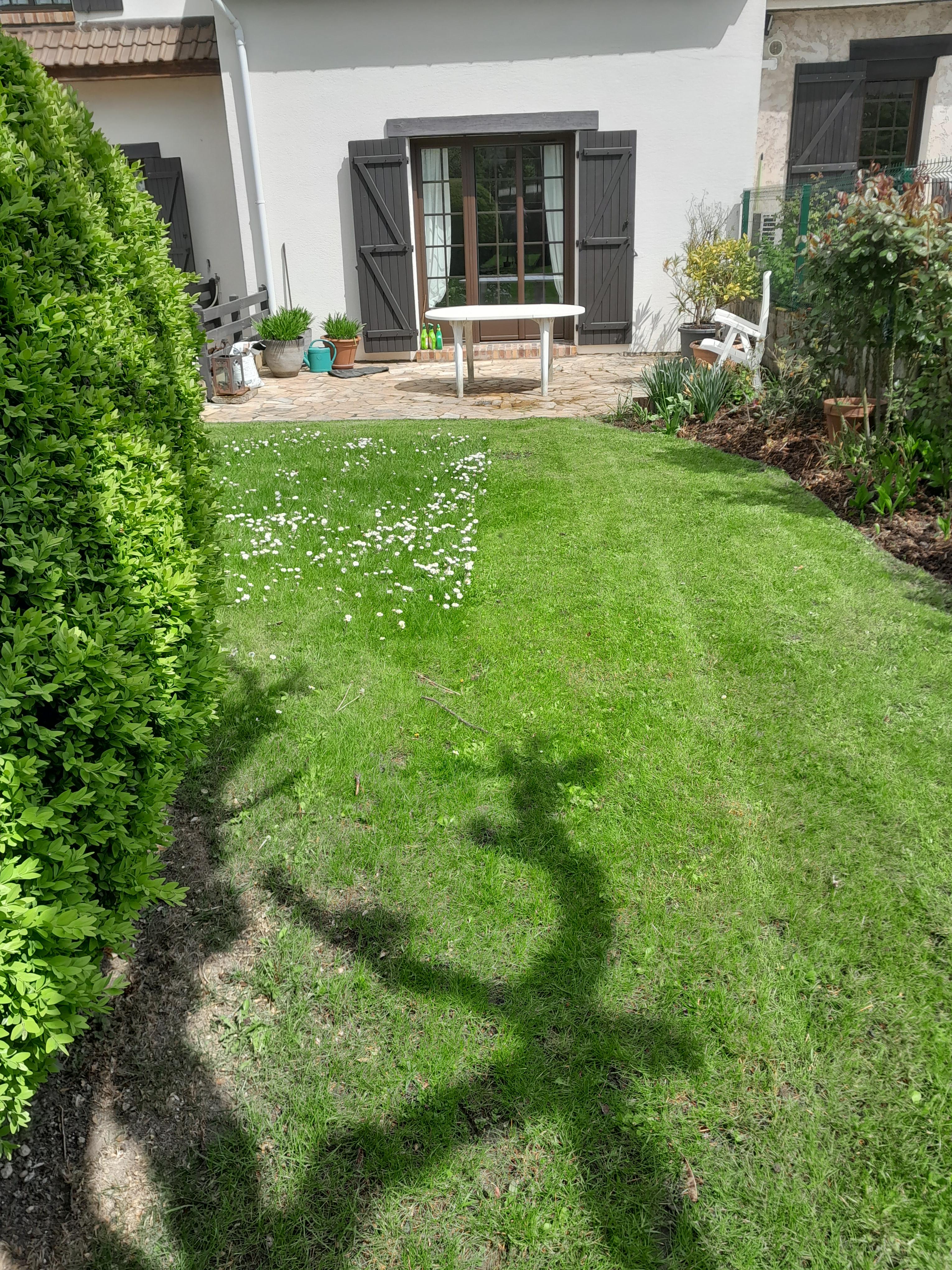Service entretien jardin 
 94 entre particuliers
