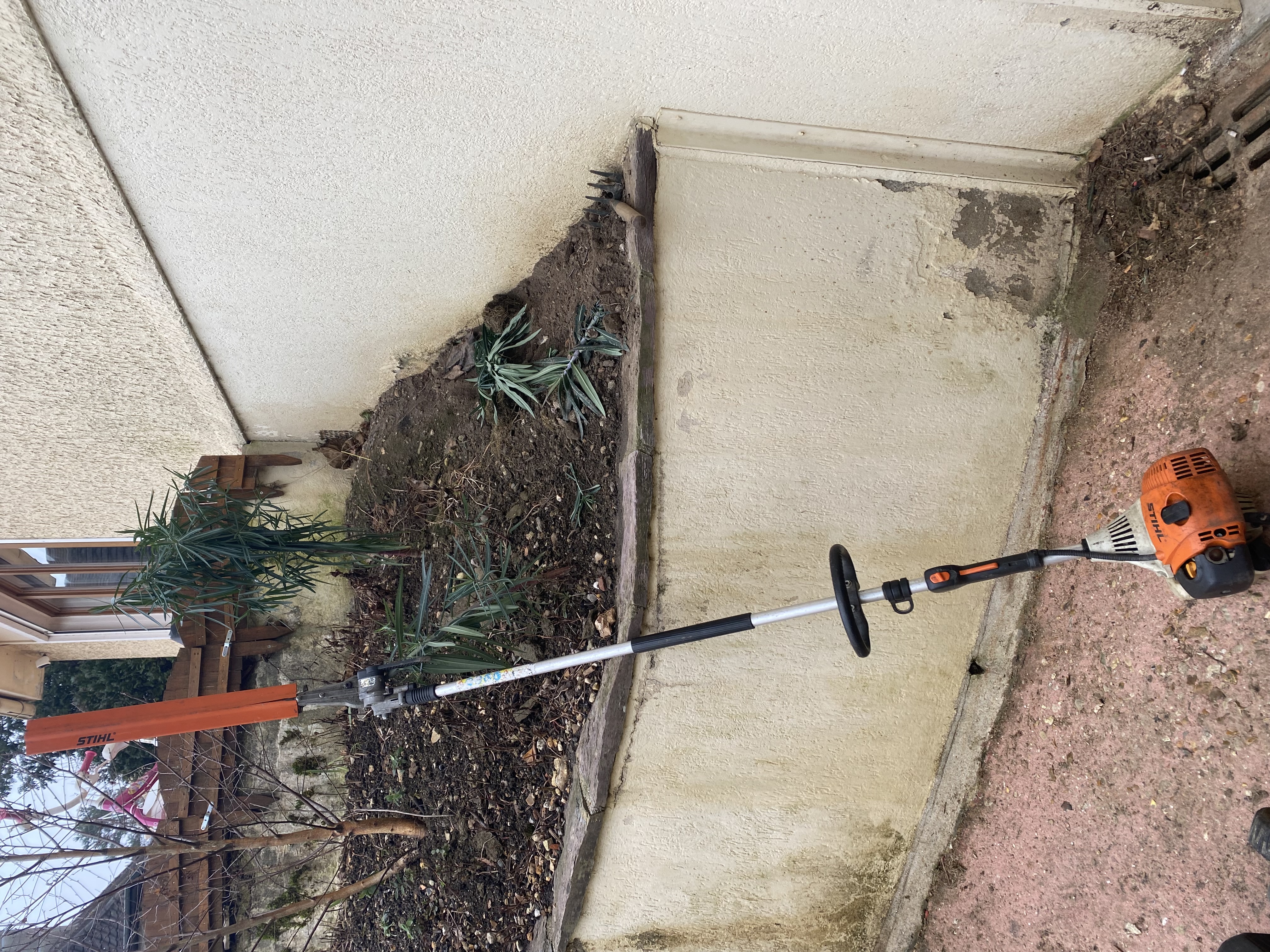 Location taille haie 78 entre particuliers