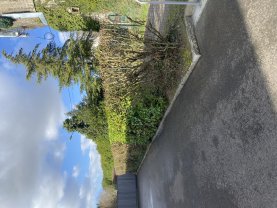 Service : paysagiste