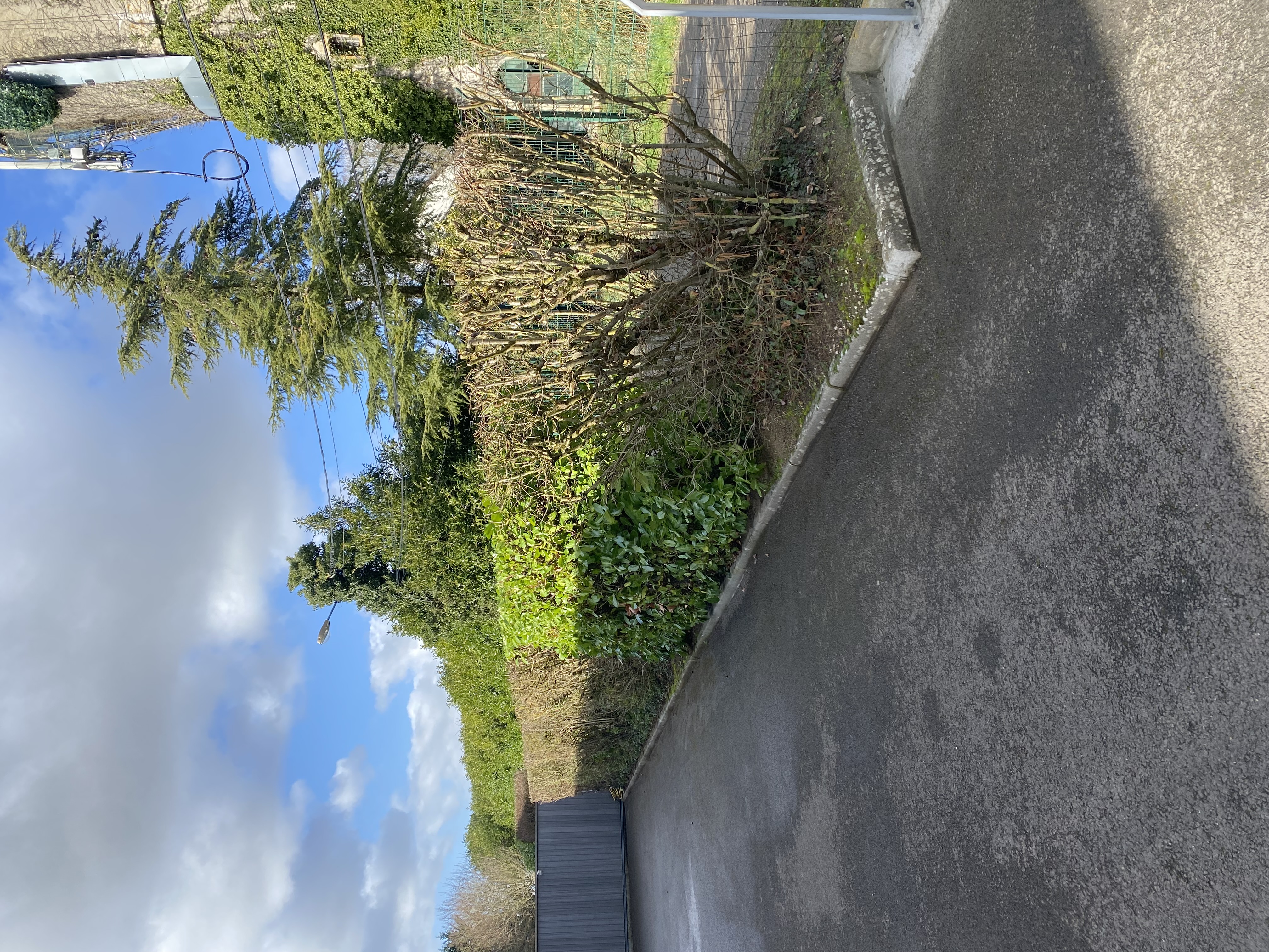 Service paysagiste 78 entre particuliers