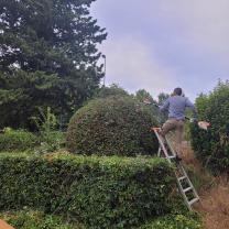 Service entretien espace vert entre particuliers