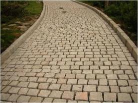 Service : multi services Service : multi services