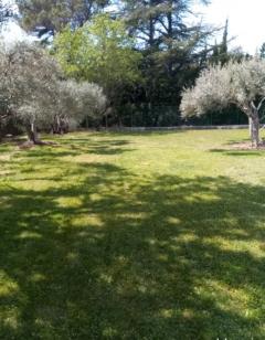 Service : tonte de pelouse Service : tonte de pelouse