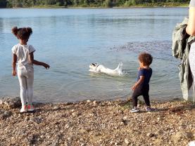 Service : chien Service : chien