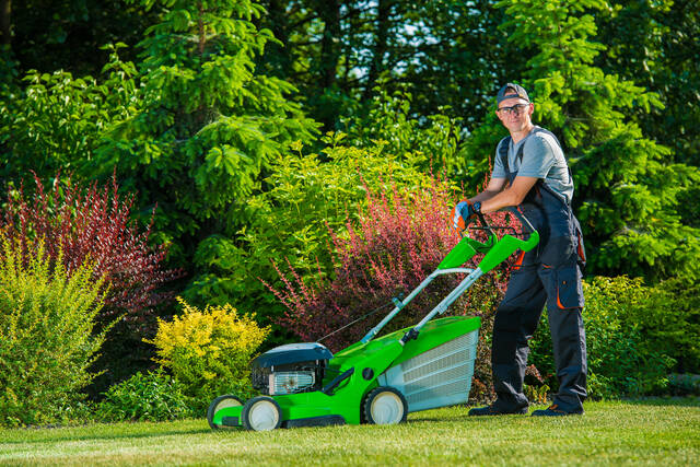 Service tonte de pelouse 59 entre particuliers