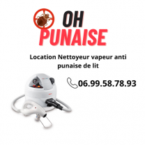 Location nettoyeur vapeur entre particuliers