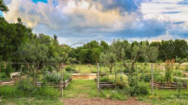 Location jardin potager entre particuliers