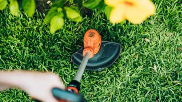 Location : debroussailleuse Location : debroussailleuse