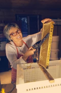 Location : tente reception Location : tente reception