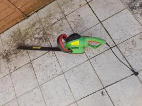 Location : taille haie Location : taille haie