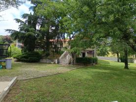 Service : chien Service : chien