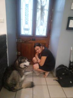 Service : chien Service : chien