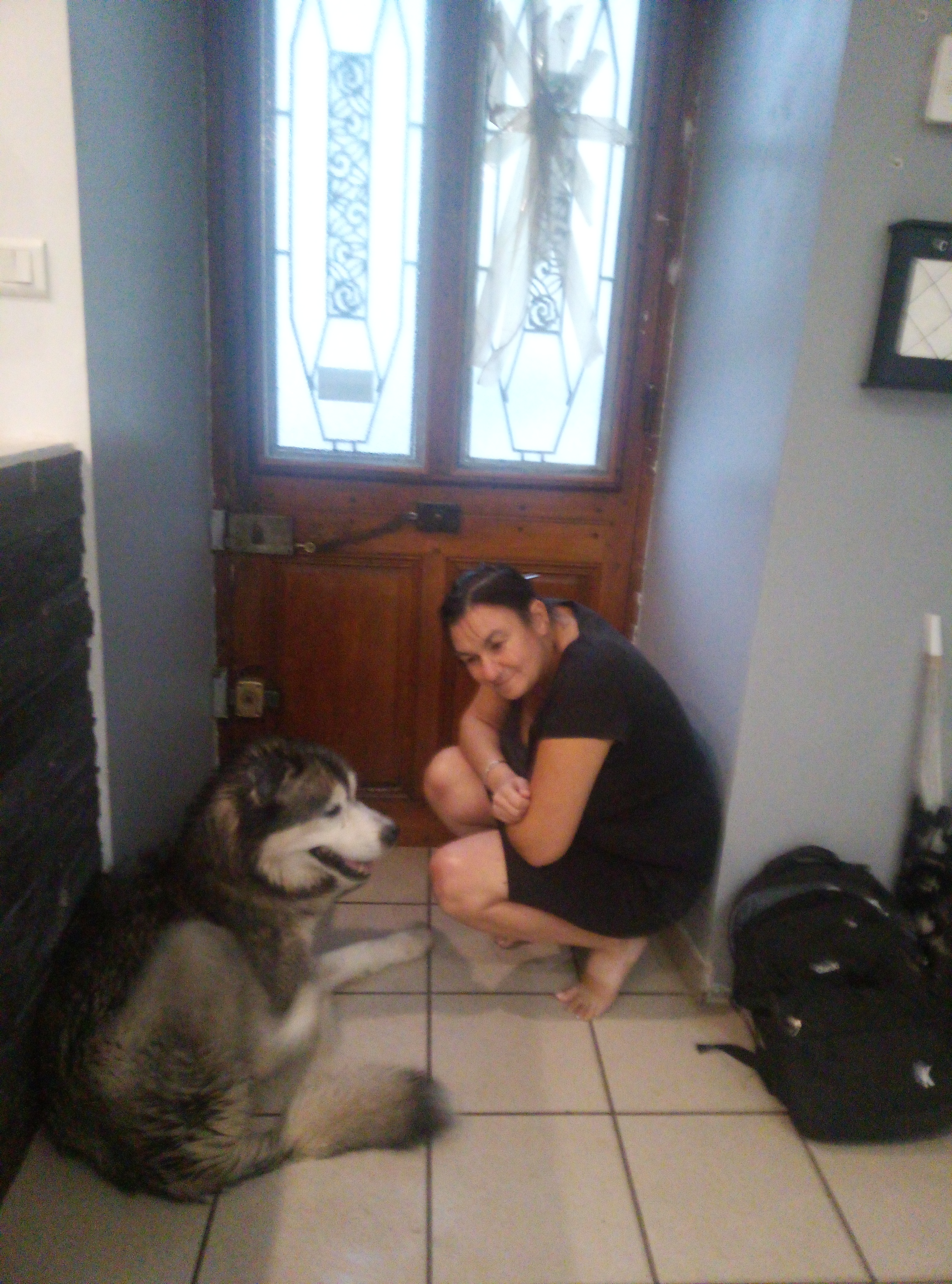 Service chien 38 entre particuliers
