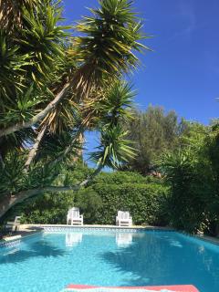 Louer la piscine