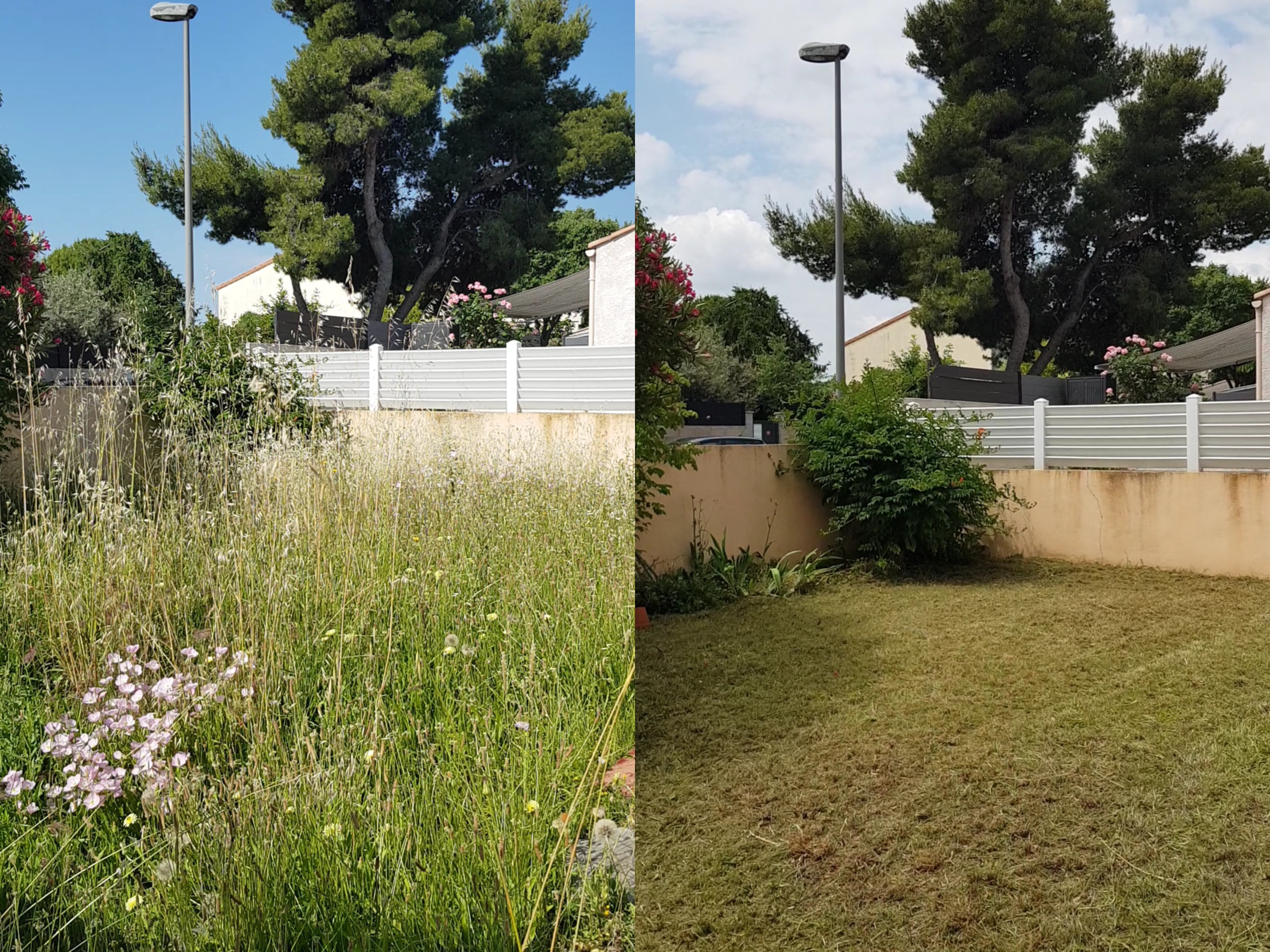 Service debroussaillage 34 entre particuliers