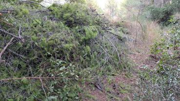 Location broyeur a vegetaux entre particuliers