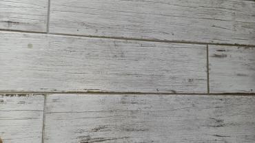 Location : monobrosse Location : monobrosse