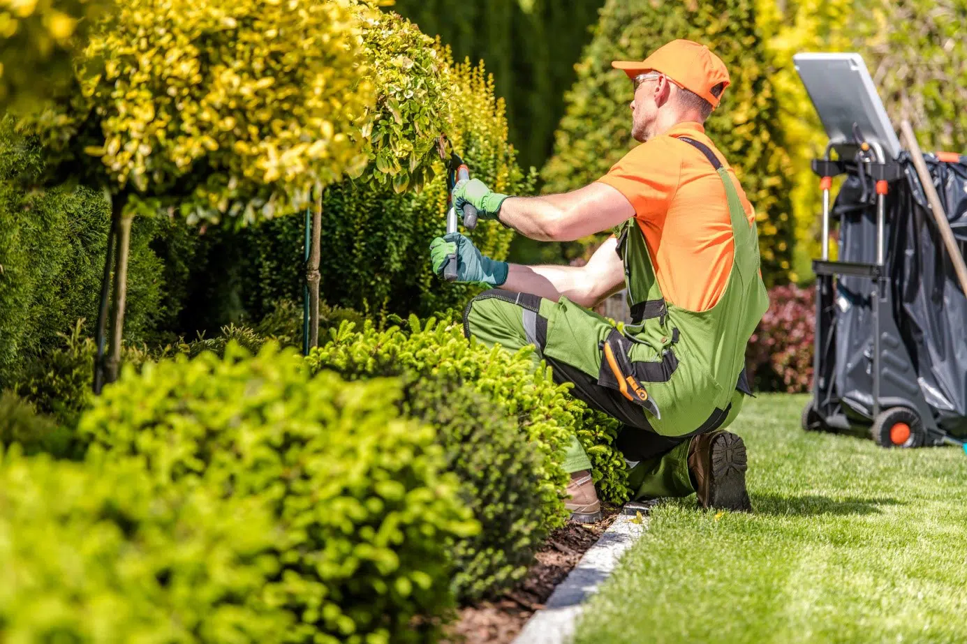 Service entretien jardin 18 entre particuliers