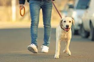 Demander un promeneur