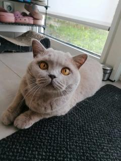 Service : chat Service : chat