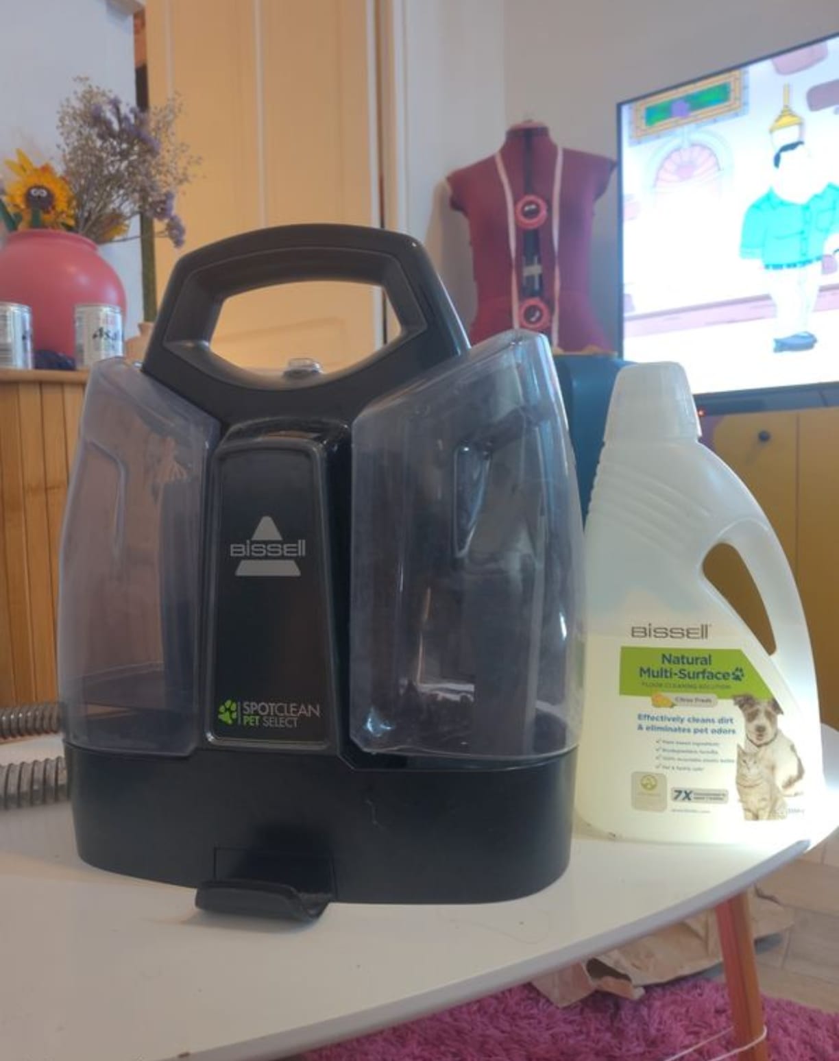 Location shampouineuse 69 entre particuliers