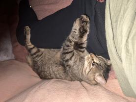 Service : chat Service : chat