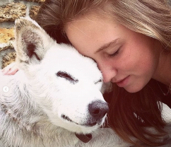 Service : chien Service : chien