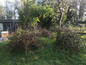 Service coupe de bois