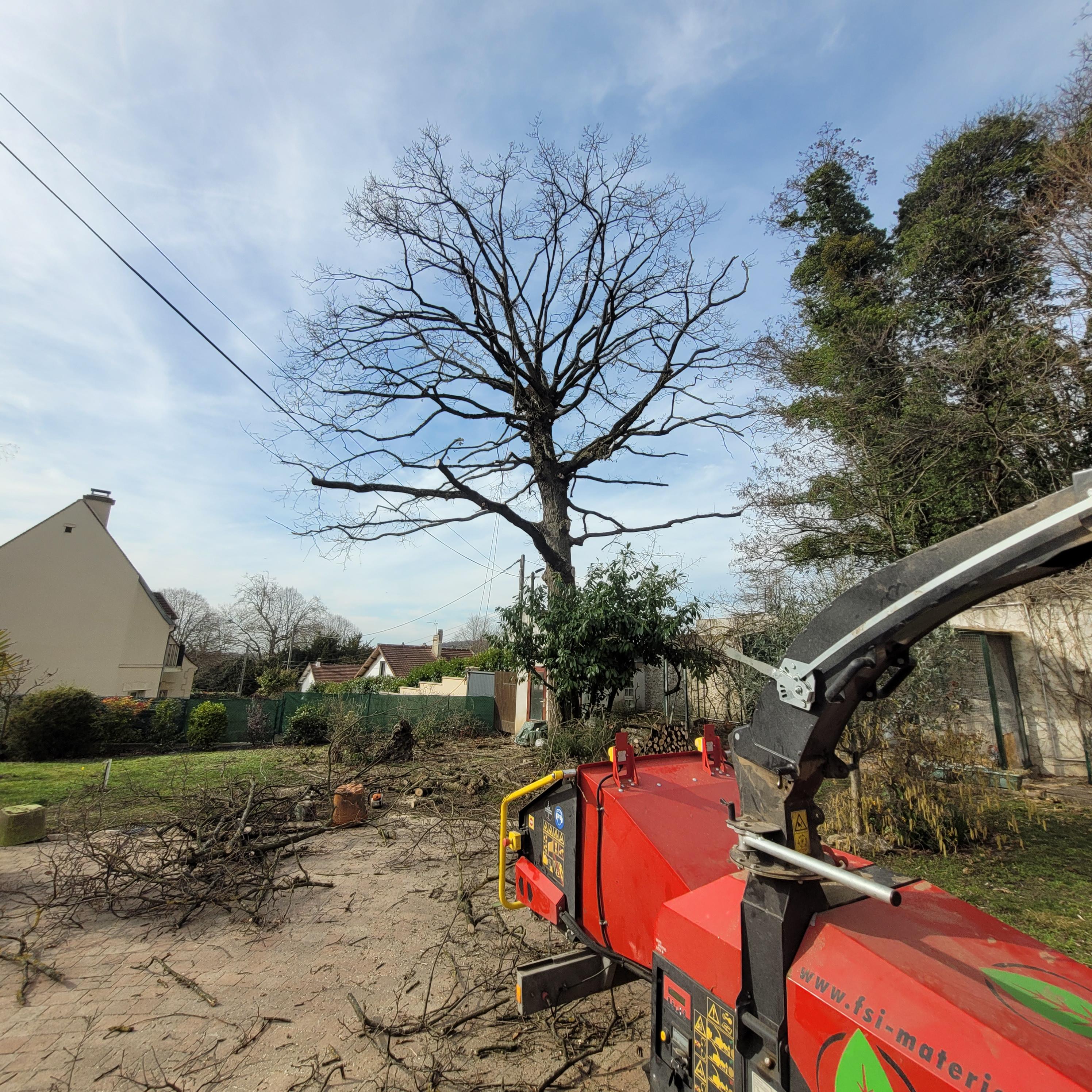 Service elagage 95 entre particuliers