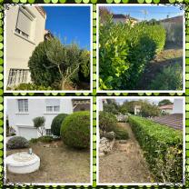 Service entretien jardin entre particuliers