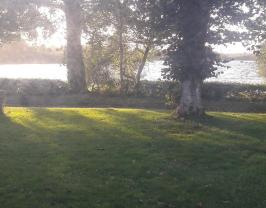 Service : paysagiste Service : paysagiste