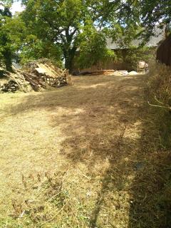 Service : entretien espace vert Service : entretien espace vert