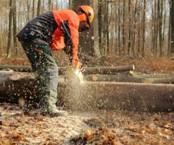 Service coupe de bois entre particuliers